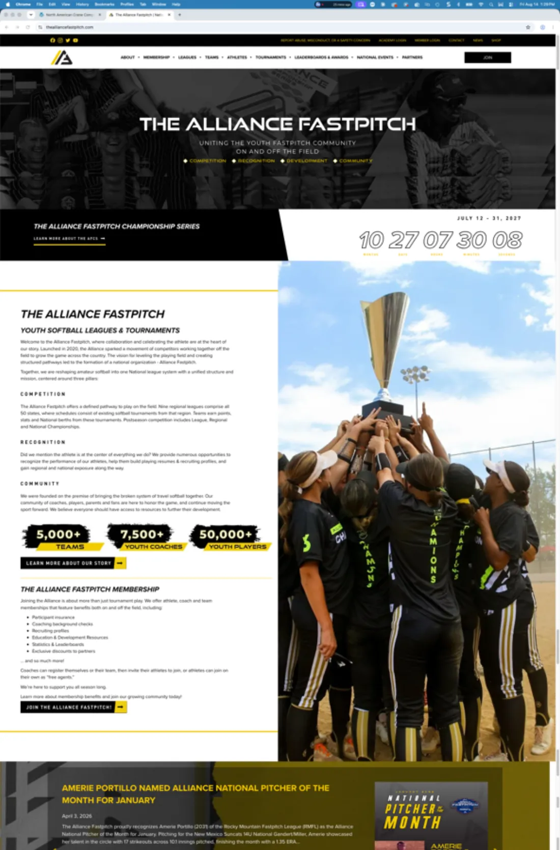 The Alliance Fastpitch homepage, with a photo hero, championship series countdown, and league statistics