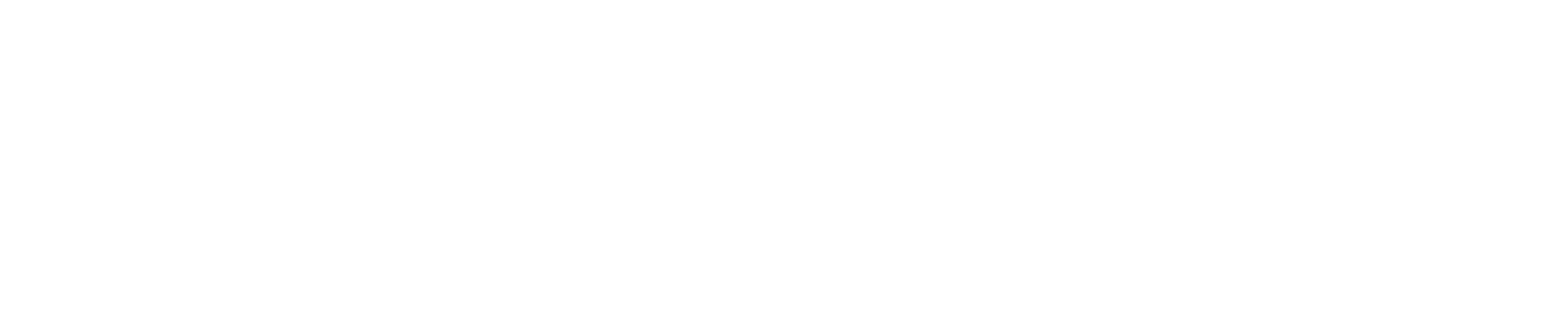 WSR-Icon+logo (white)